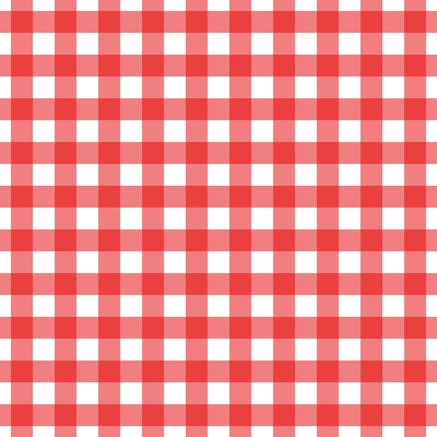 A002 Red Gingham Plaid - Palmetto Sky Studio