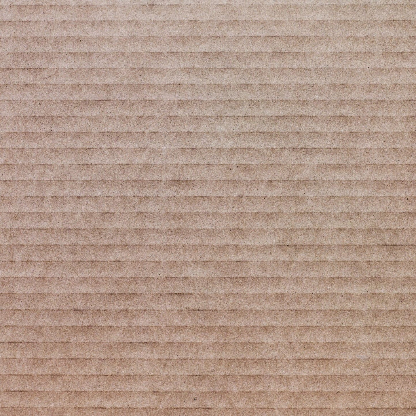 A037 Cardboard Texture - Palmetto Sky Studio