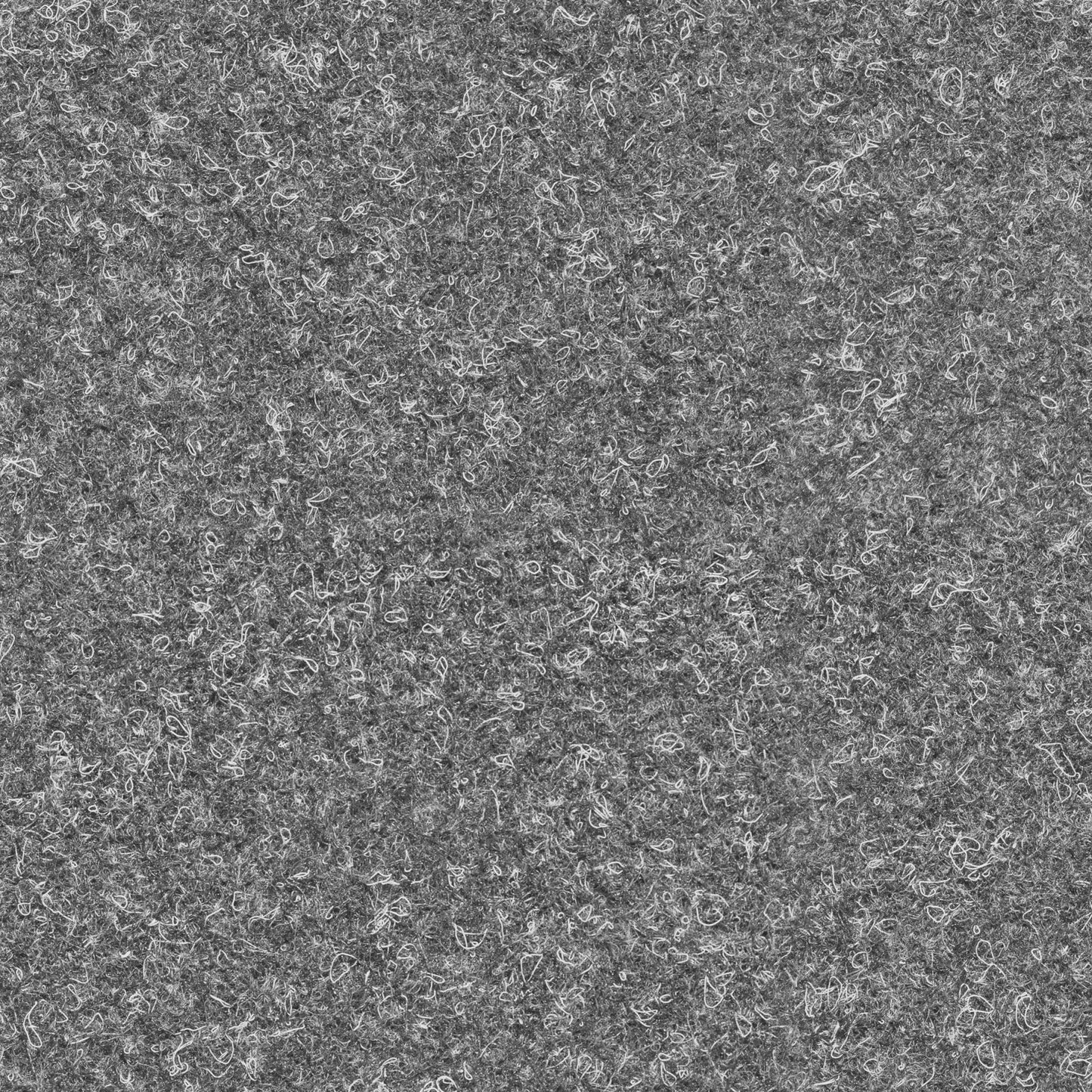 A047 Gray Shaggy Carpet - Palmetto Sky Studio