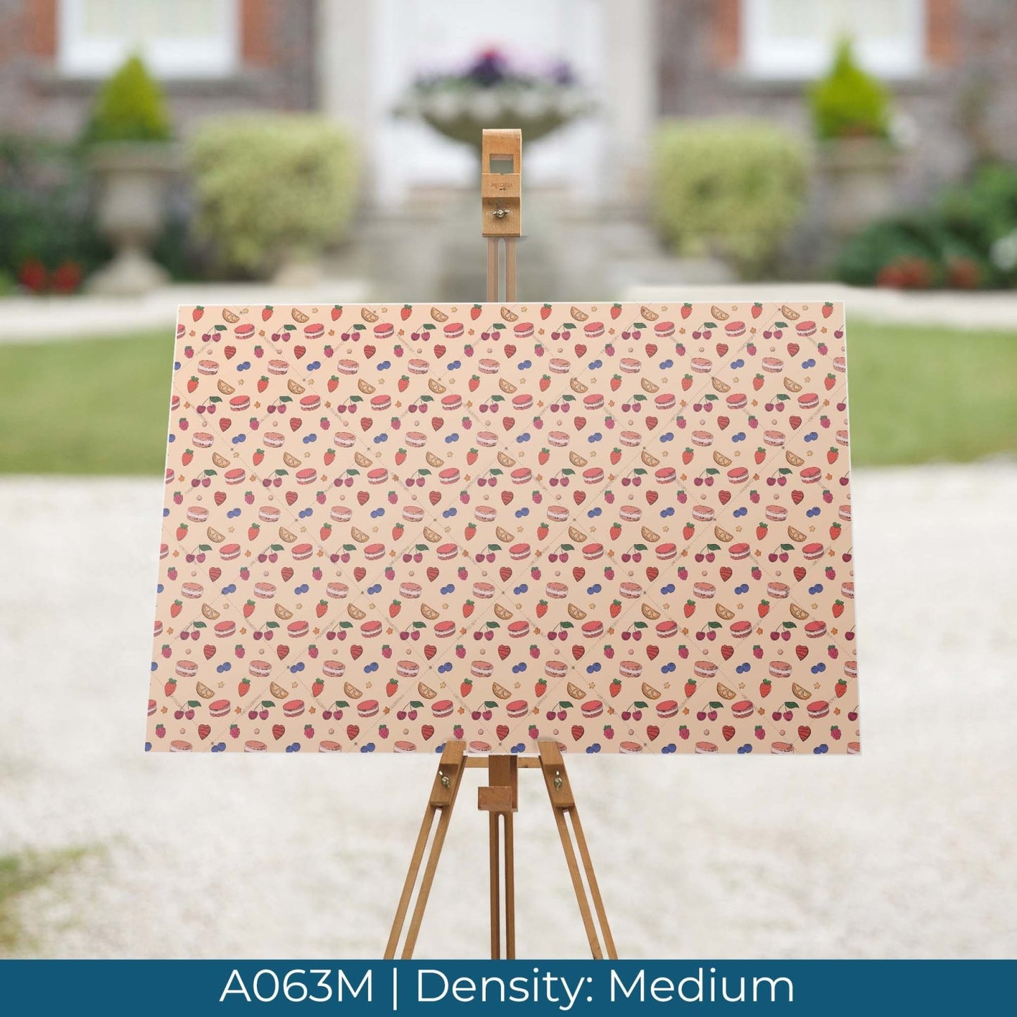 A063 Macaron Candy Sweets - Palmetto Sky Studio