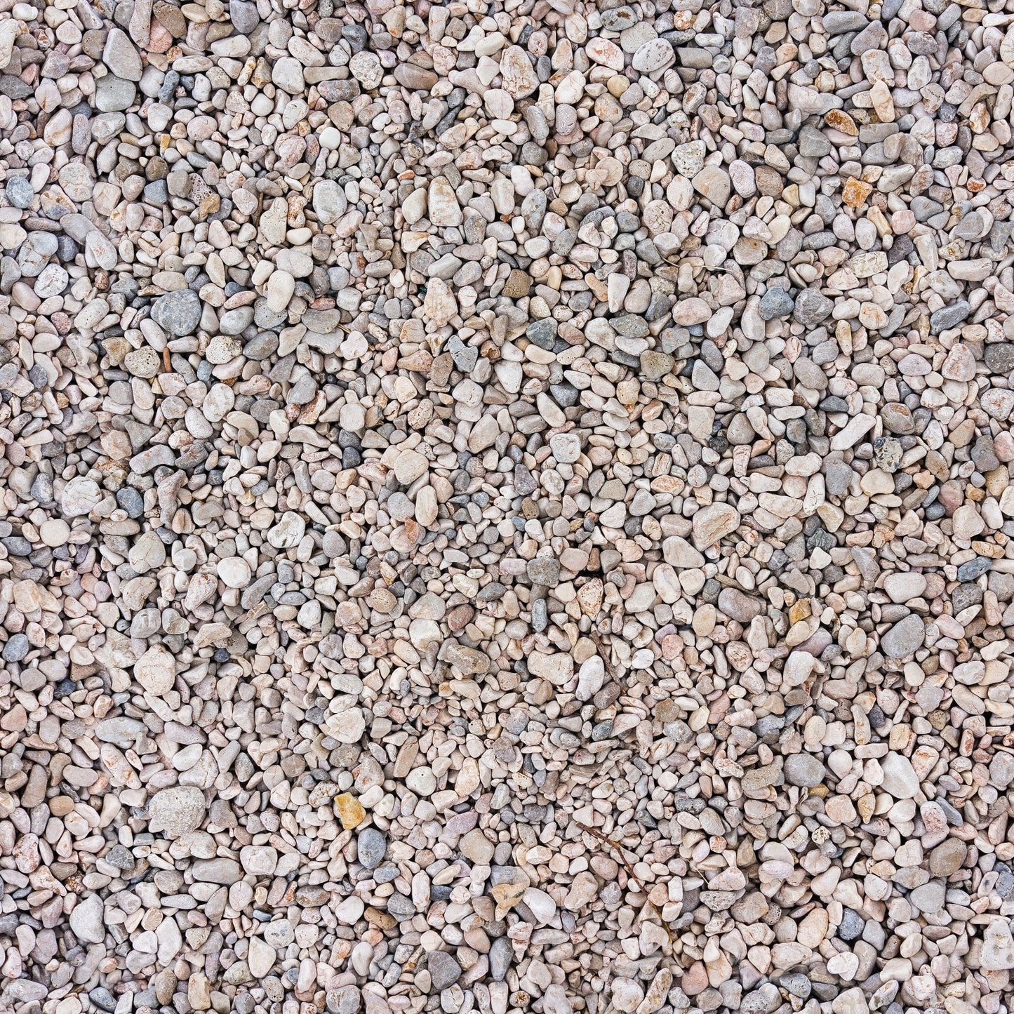 A064 Rocky Pebble Gravel - Palmetto Sky Studio