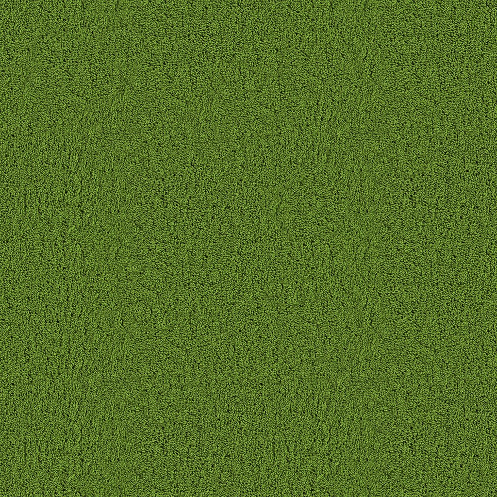 A066 Green Grass - Palmetto Sky Studio