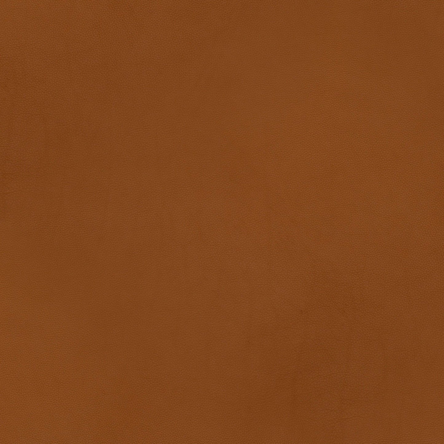 A068 Tan Cowhide Leather - Palmetto Sky Studio