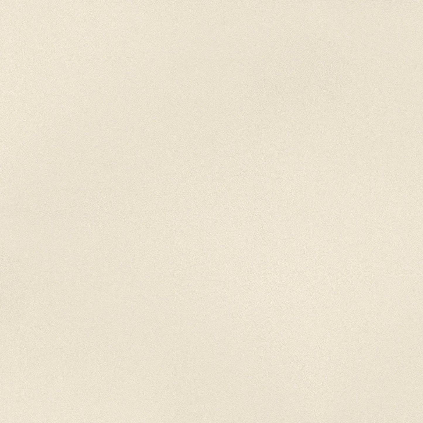 A069 White Cowhide Leather - Palmetto Sky Studio