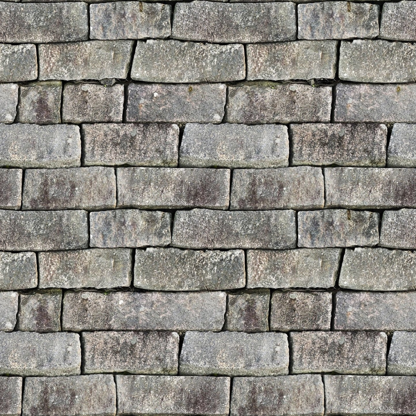 A079 Grey Stone Bricks - Palmetto Sky Studio