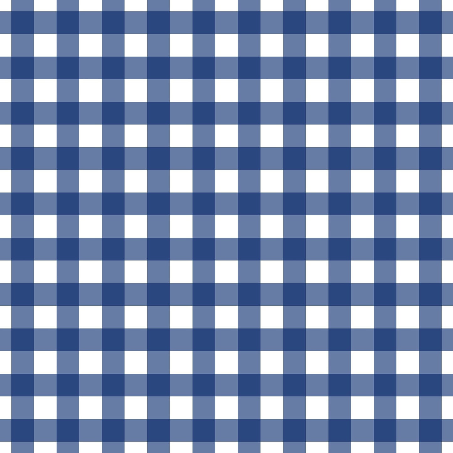 A255 Navy Gingham Plaid - Palmetto Sky Studio