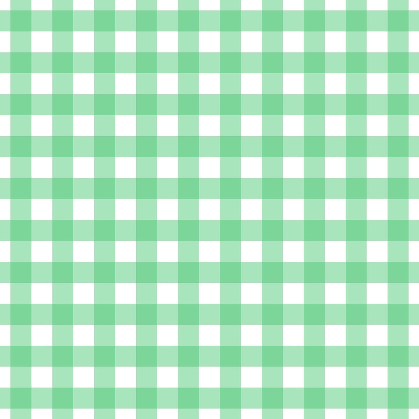 A260 Mint Green Gingham Plaid - Palmetto Sky Studio