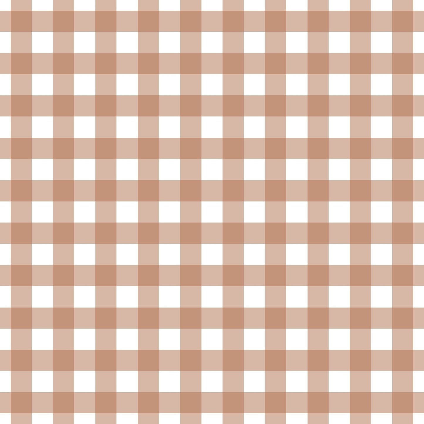 A262 Khaki Gingham Plaid - Palmetto Sky Studio