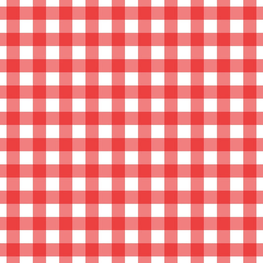 A002 Red Gingham Plaid - Palmetto Sky Studio