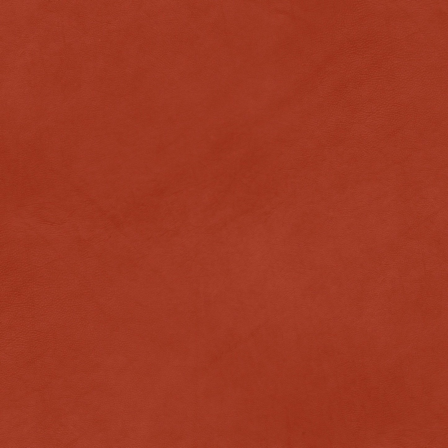 A048 Red Leather - Palmetto Sky Studio