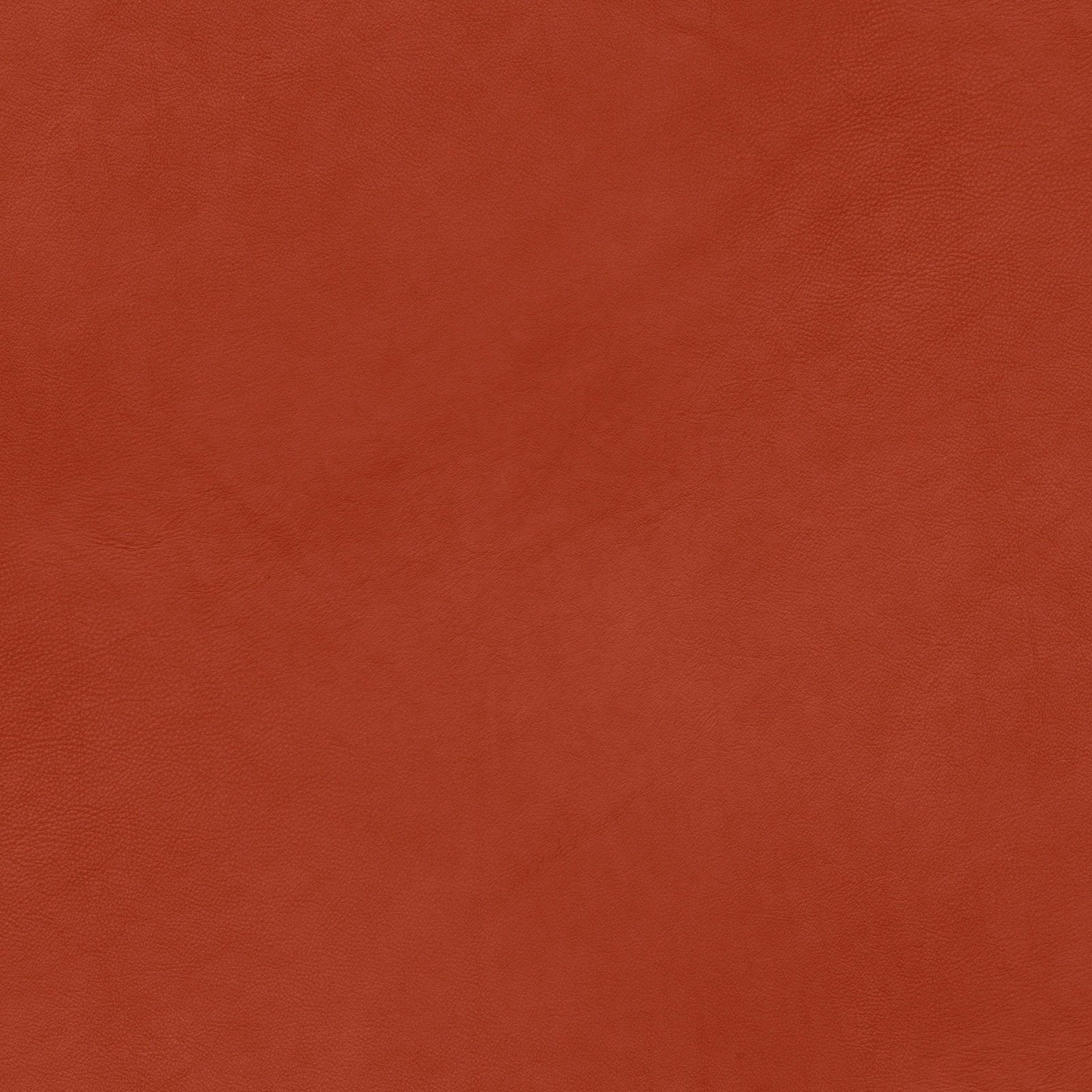 A048 Red Leather - Palmetto Sky Studio