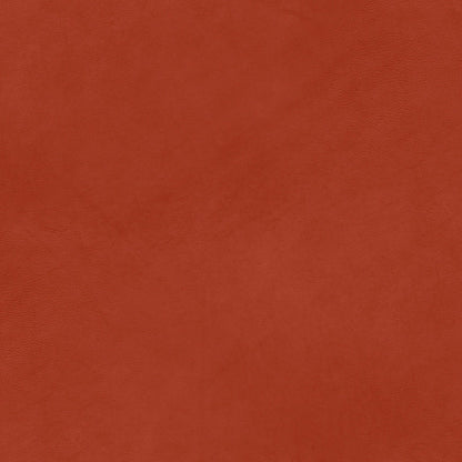 A048 Red Leather - Palmetto Sky Studio