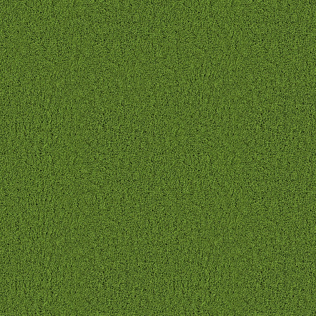 A066 Green Grass - Palmetto Sky Studio