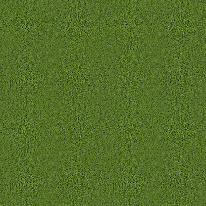 A066 Green Grass - Palmetto Sky Studio