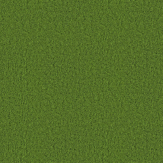 A066 Green Grass - Palmetto Sky Studio