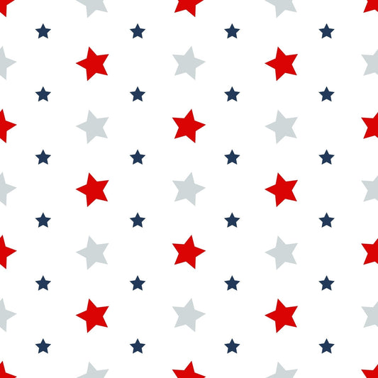 A110 White Patriotic Stars - Palmetto Sky Studio