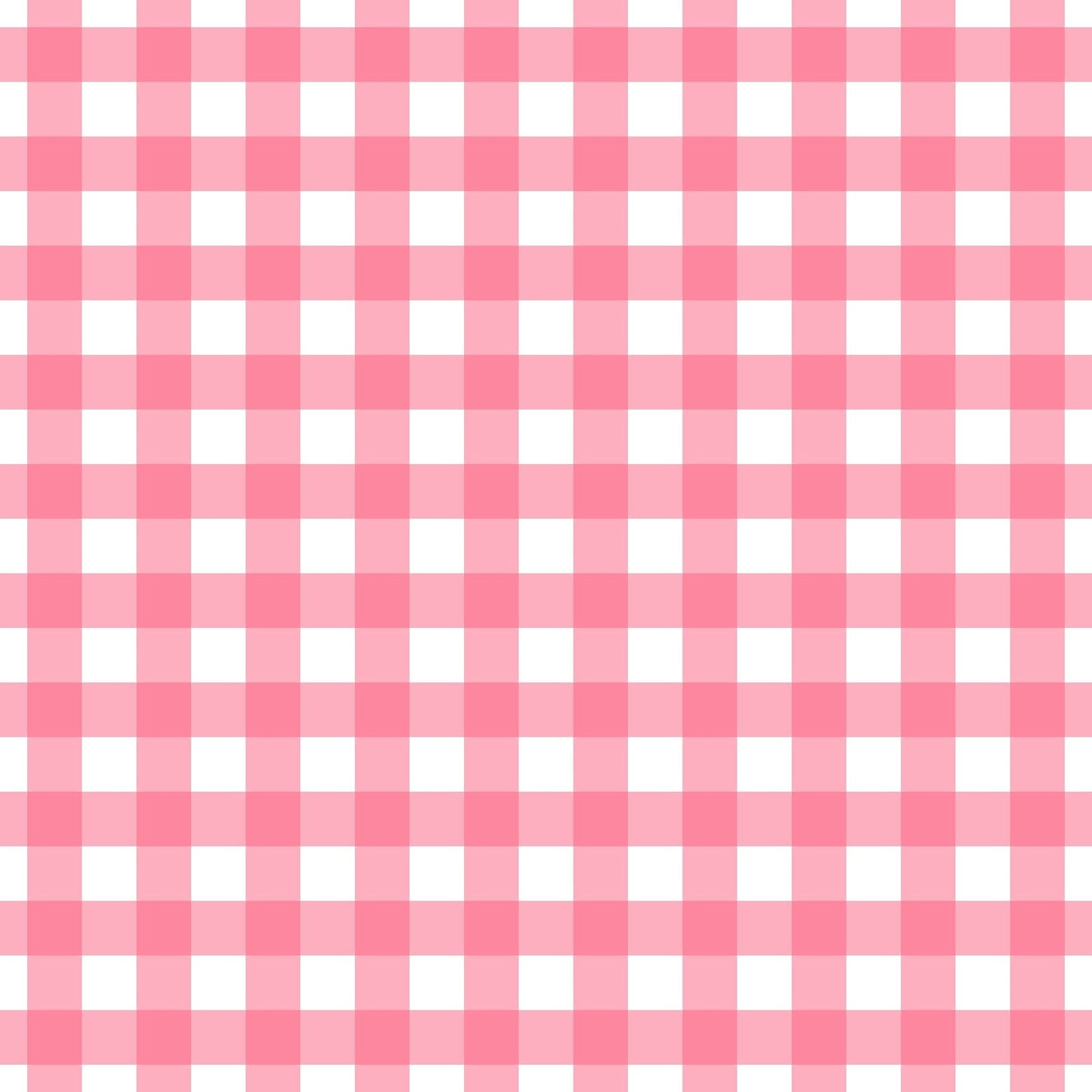 A130 Pink Gingham Paid - Palmetto Sky Studio