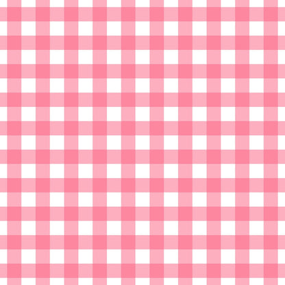 A130 Pink Gingham Paid - Palmetto Sky Studio