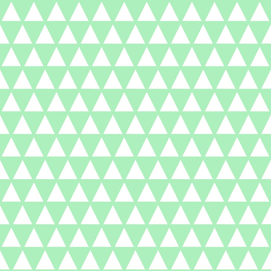 A150 Mint Green Geometric - Palmetto Sky Studio