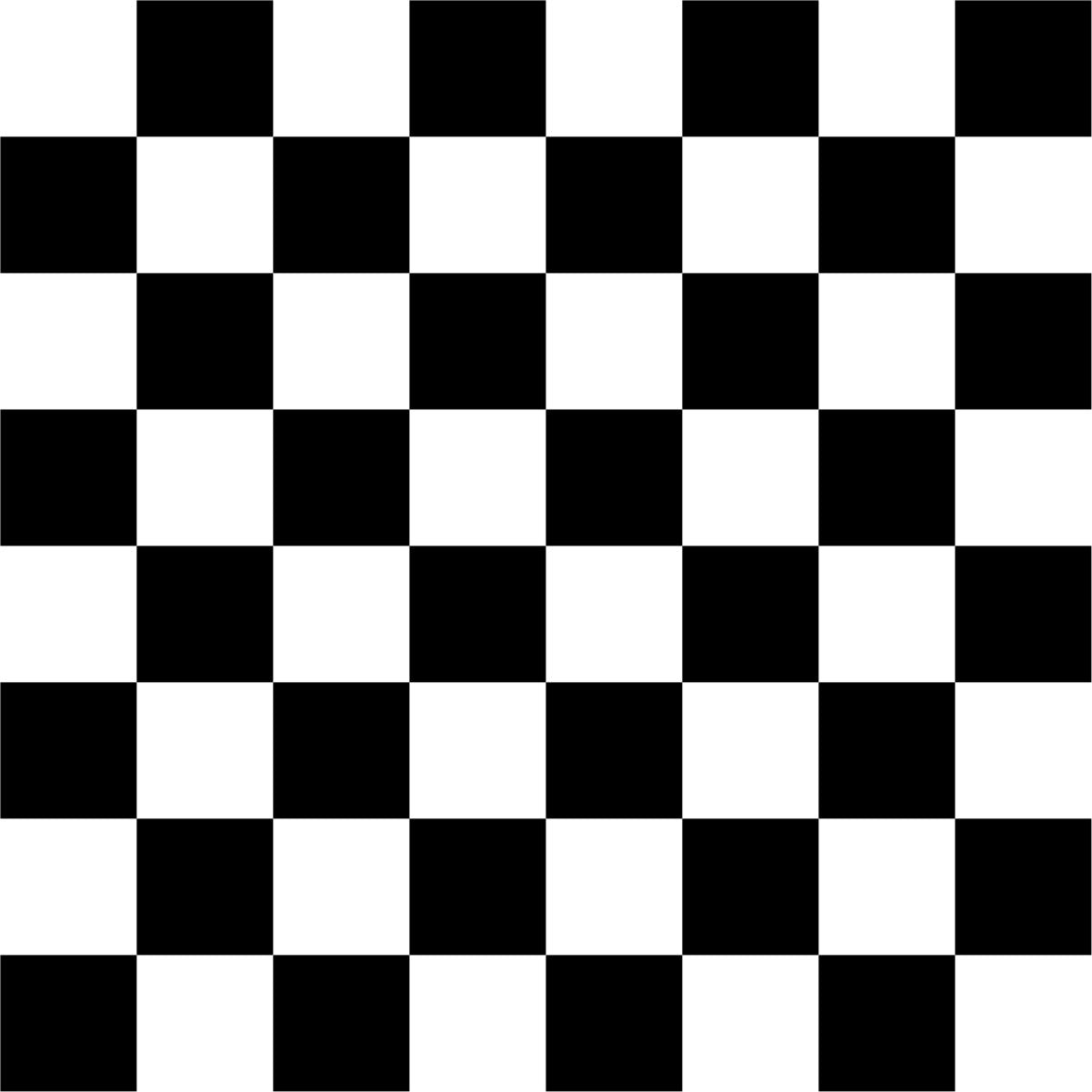 A155 Classic Black & White Checkerboard - Palmetto Sky Studio