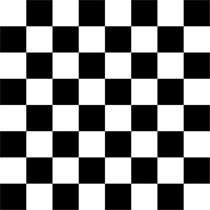 A155 Classic Black & White Checkerboard - Palmetto Sky Studio