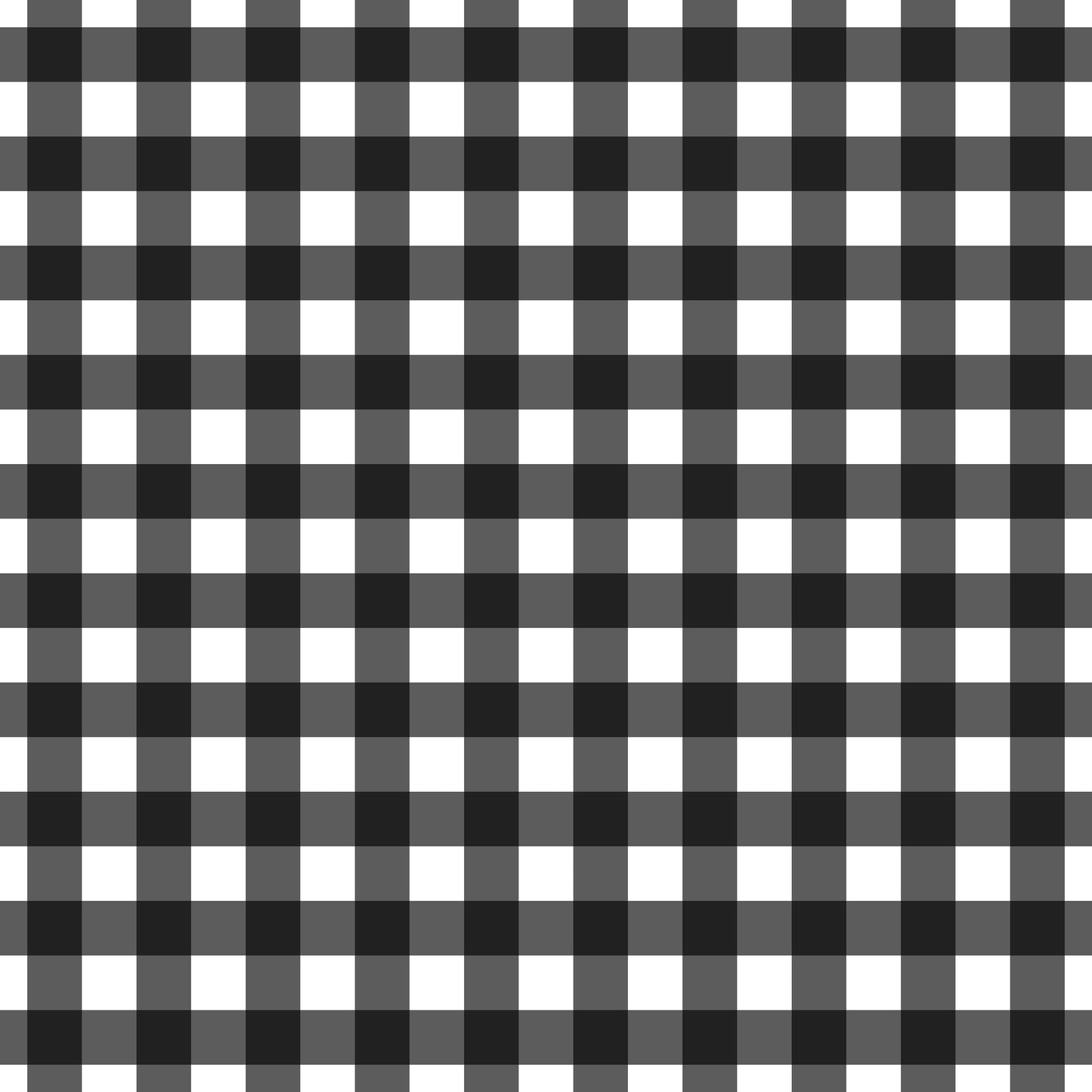 A253 Black Gingham Plaid - Palmetto Sky Studio