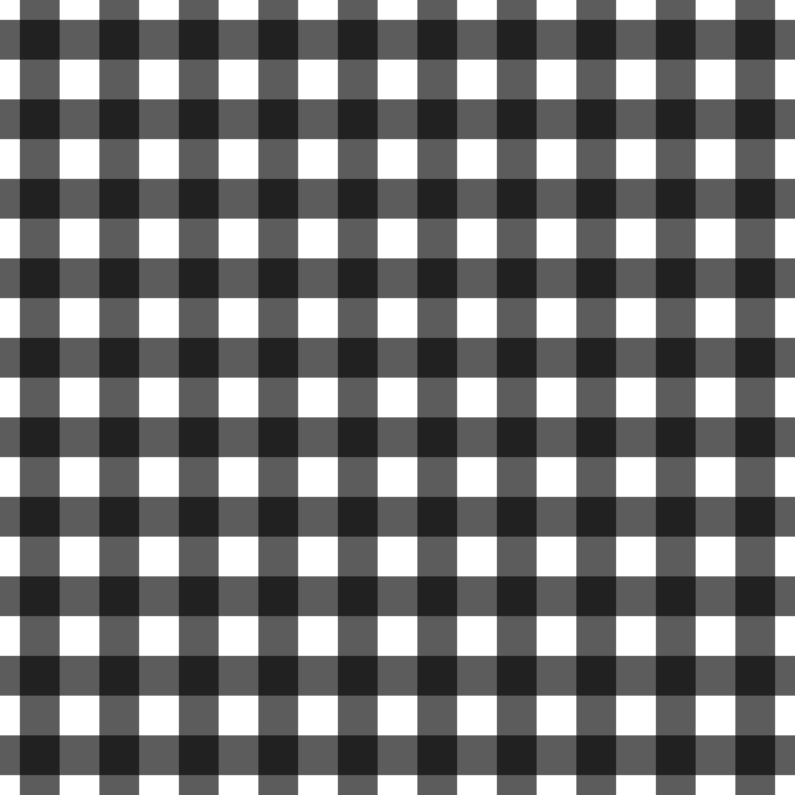 A253 Black Gingham Plaid - Palmetto Sky Studio