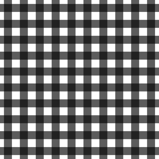 A253 Black Gingham Plaid - Palmetto Sky Studio