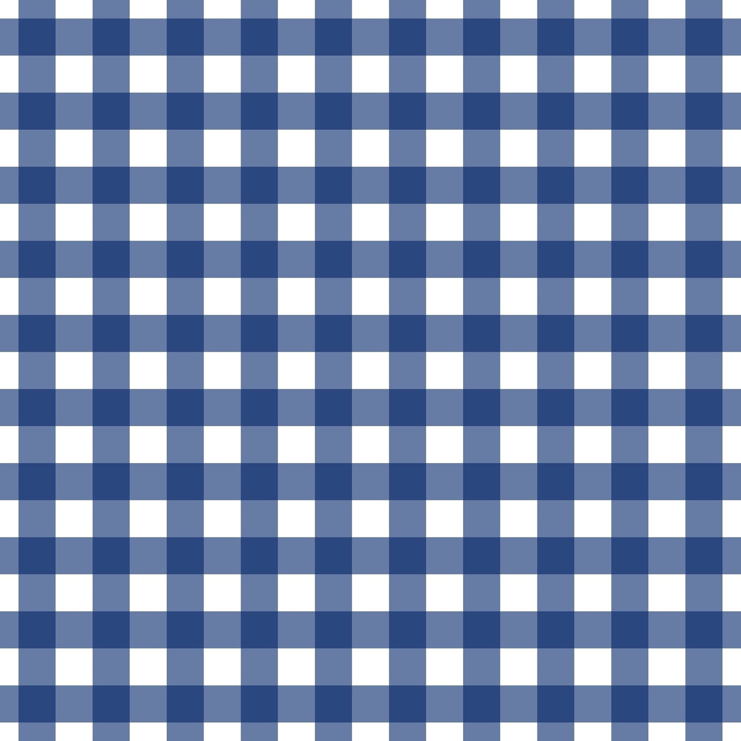 A255 Navy Gingham Plaid - Palmetto Sky Studio