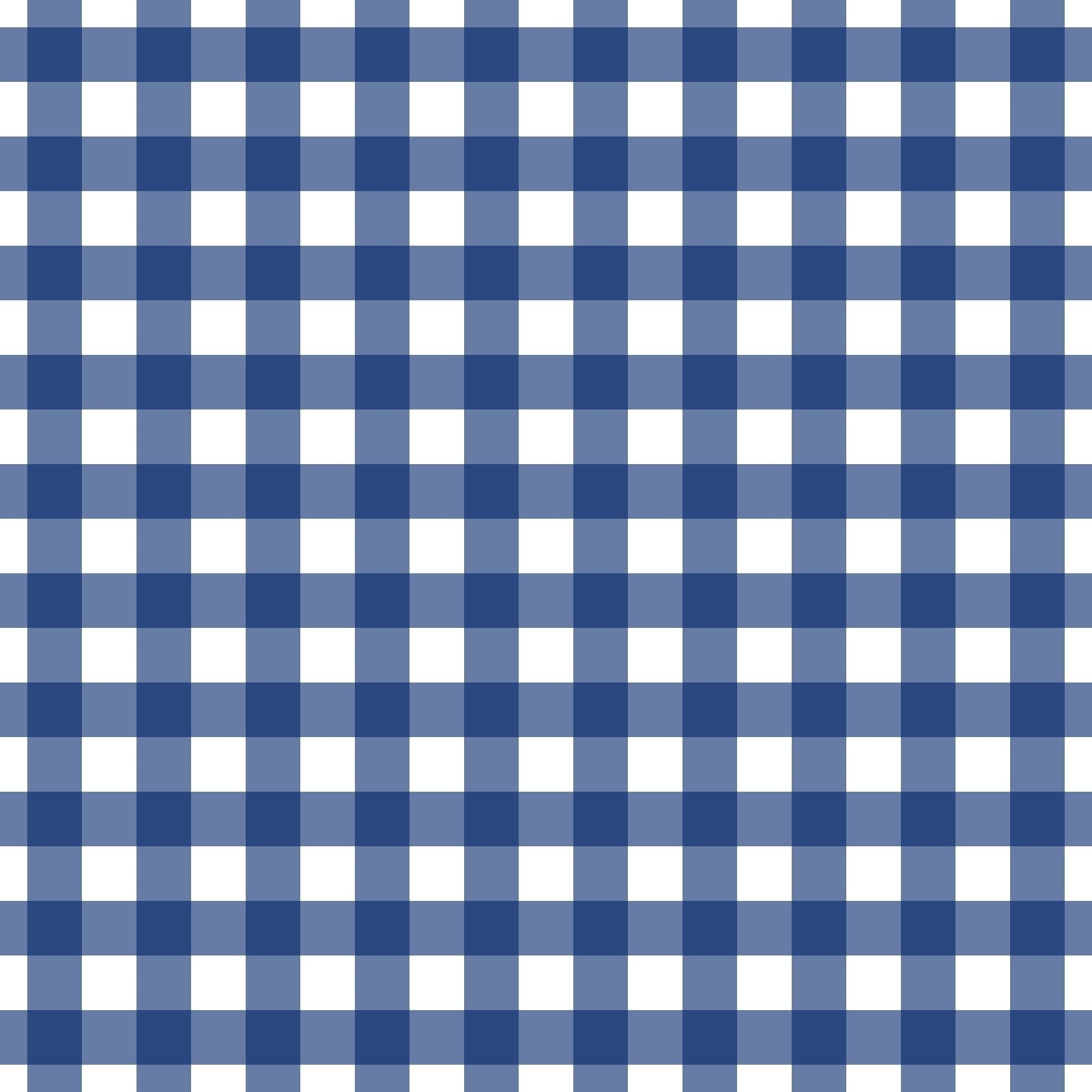 A255 Navy Gingham Plaid - Palmetto Sky Studio