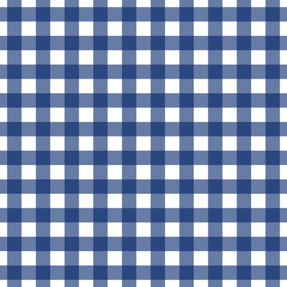 A255 Navy Gingham Plaid - Palmetto Sky Studio