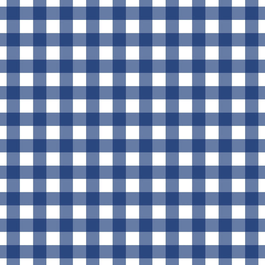 A255 Navy Gingham Plaid - Palmetto Sky Studio