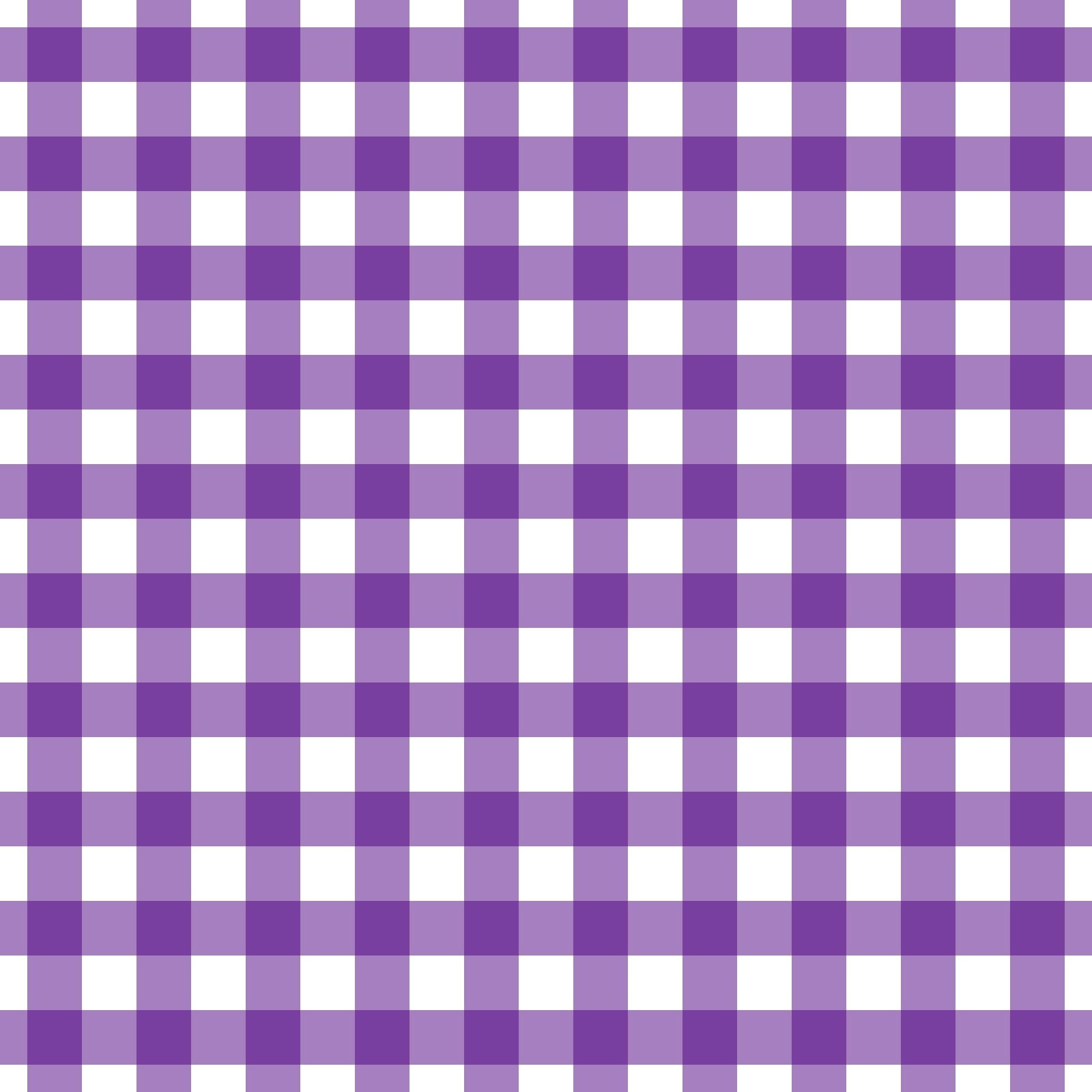 A256 Purple Gingham Plaid - Palmetto Sky Studio