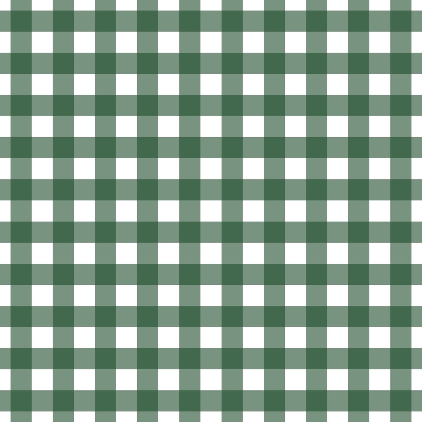 A259 Dark Green Gingham Plaid - Palmetto Sky Studio