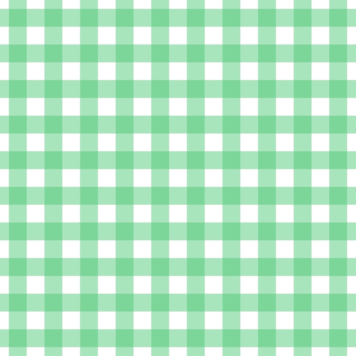 A260 Mint Green Gingham Plaid - Palmetto Sky Studio