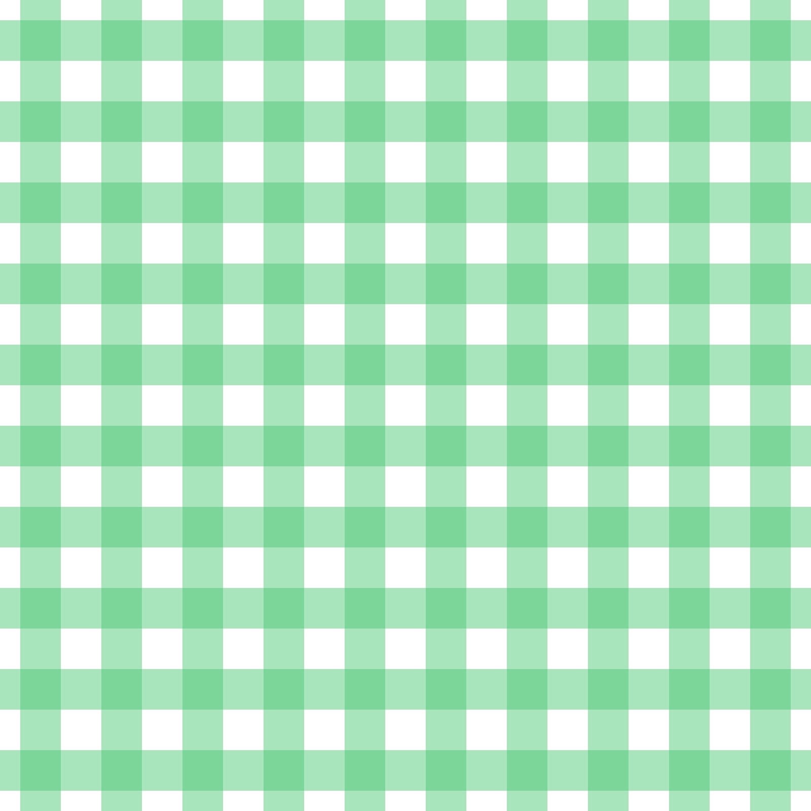 A260 Mint Green Gingham Plaid - Palmetto Sky Studio