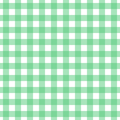 A260 Mint Green Gingham Plaid - Palmetto Sky Studio