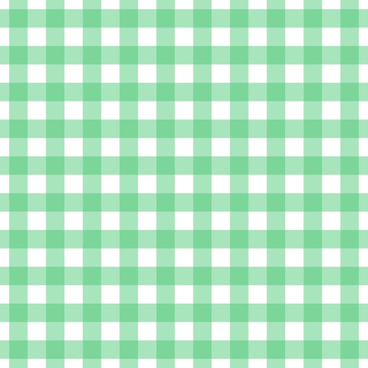 A260 Mint Green Gingham Plaid - Palmetto Sky Studio