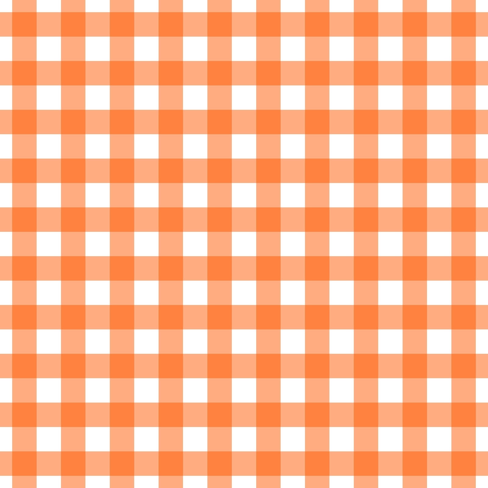 A261 Orange Gingham Plaid - Palmetto Sky Studio