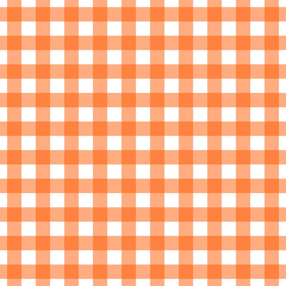 A261 Orange Gingham Plaid - Palmetto Sky Studio