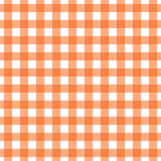 A261 Orange Gingham Plaid - Palmetto Sky Studio