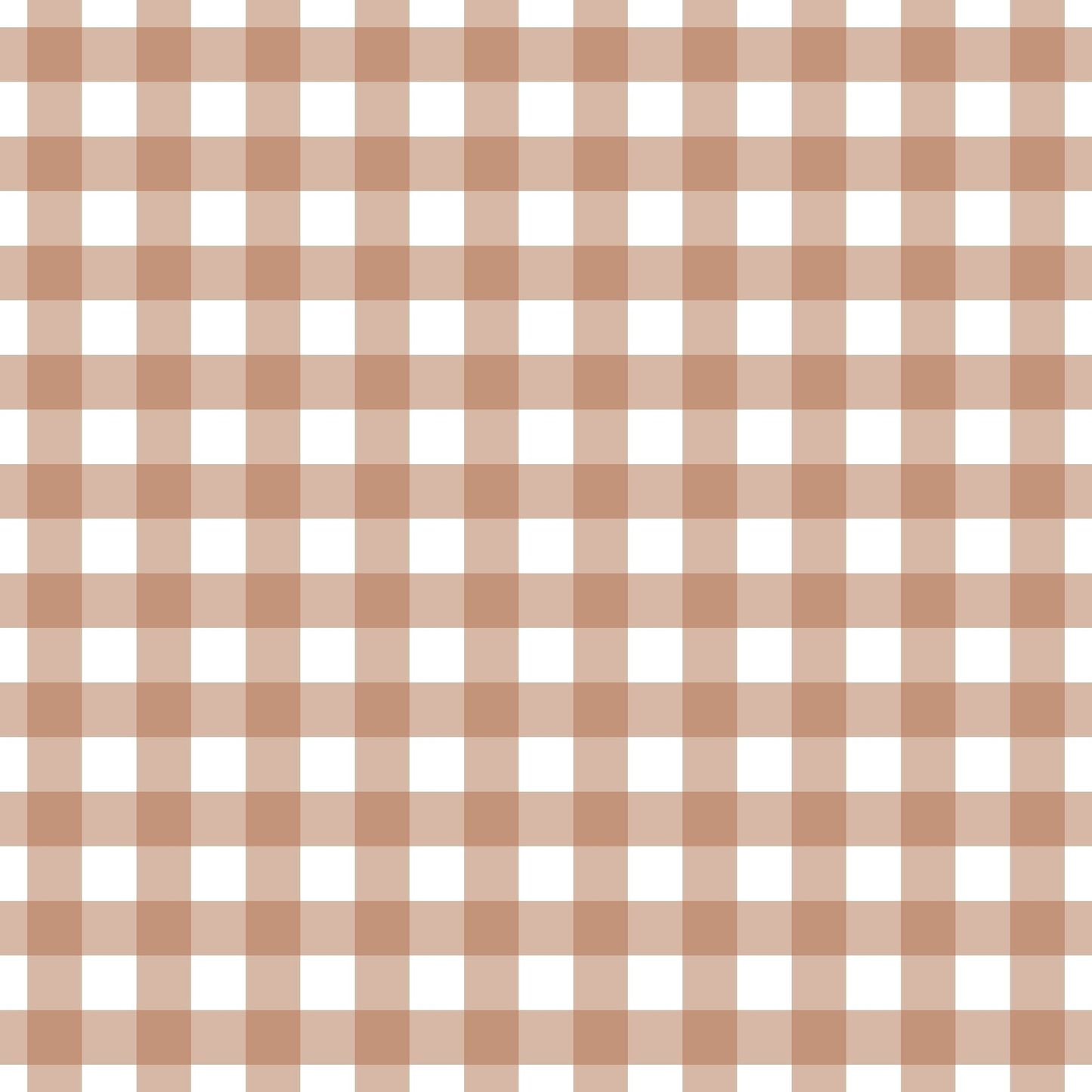 A262 Khaki Gingham Plaid - Palmetto Sky Studio