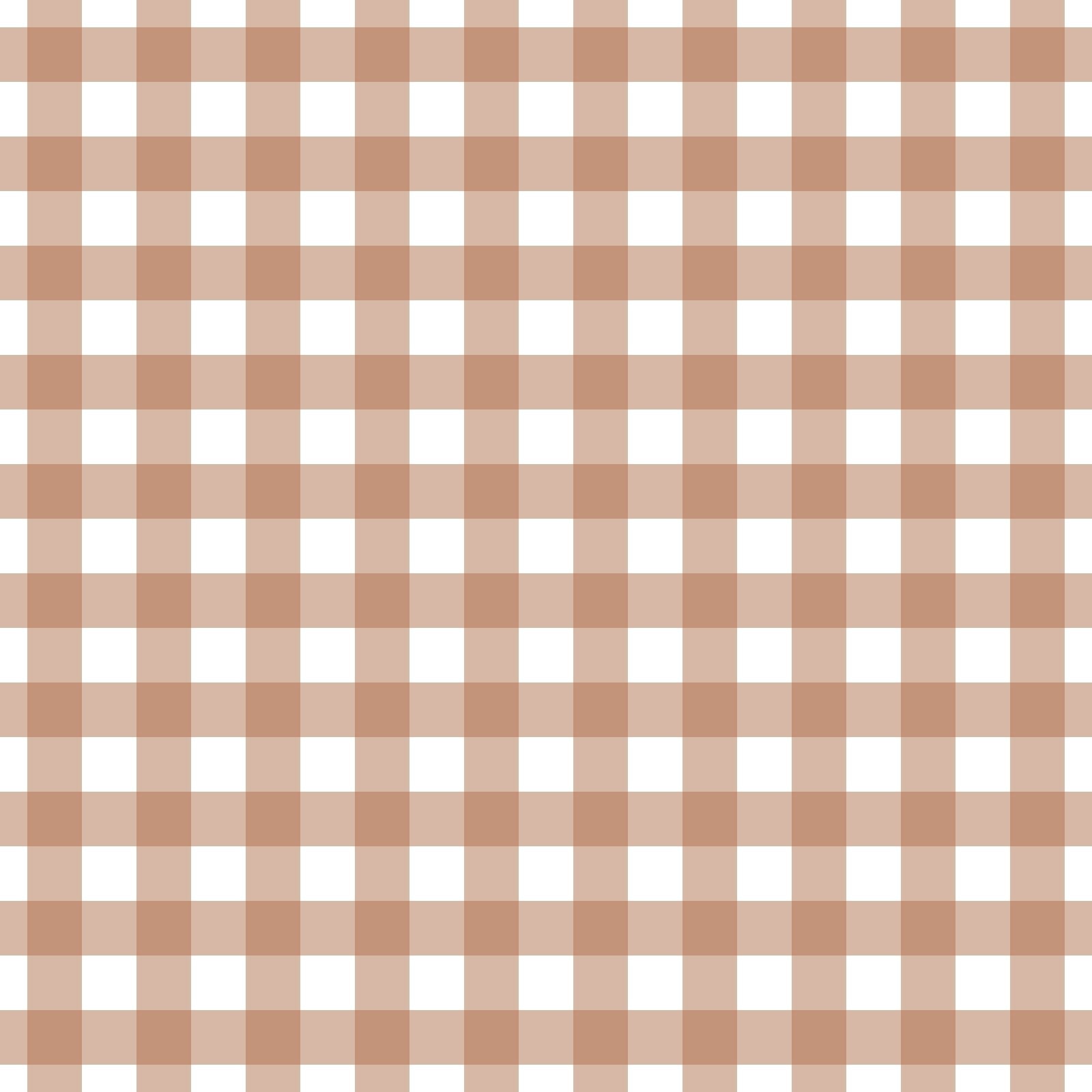 A262 Khaki Gingham Plaid - Palmetto Sky Studio