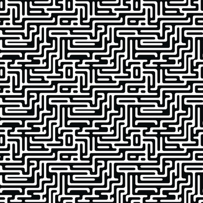 A340 Black White Maze - Palmetto Sky Studio